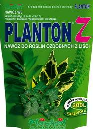 Planton3